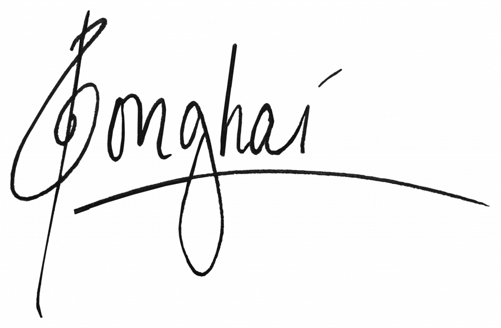 Signature of the artist Songhai, emphasizing individual creativity and cultural expression.