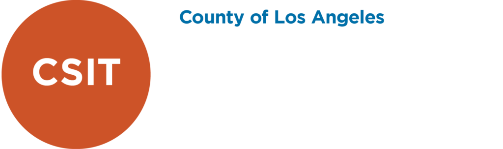 Community Safety Implementation Team logo